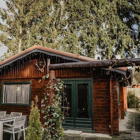 Cosy And Romantic Forest House Met Sauna Op De Veluwe بوتِنْ المظهر الخارجي الصورة